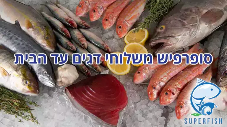 סופרפיש משלוחי דגים עד הבית