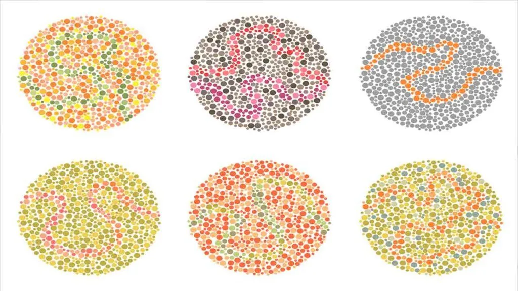 עיוורון צבעים